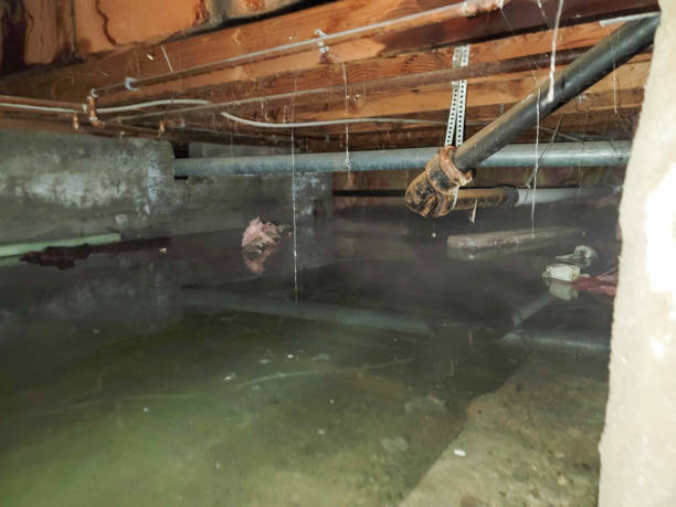Best Commercial water damage restoration  in Yelm, WA