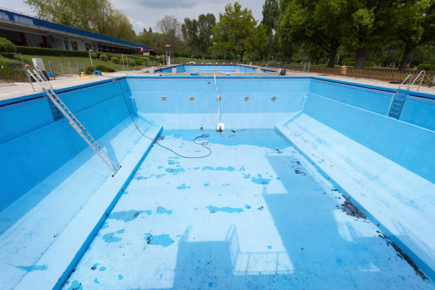 Best Professional water damage repair  in Yelm, WA