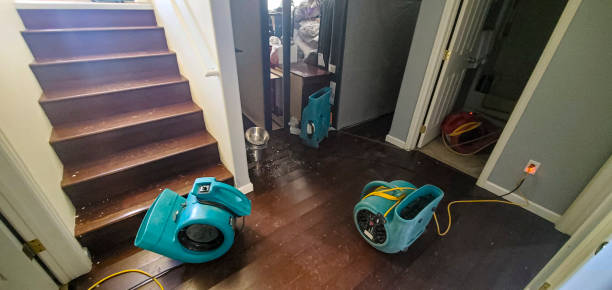 Water damage restoration insurance claims in Yelm, WA