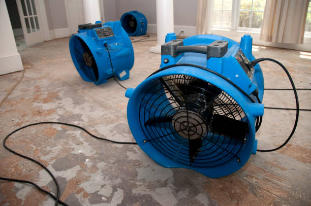 Best Fire Damage Restoration  in Yelm, WA