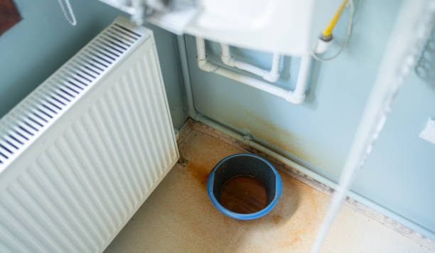 Best Mold removal after water damage  in Yelm, WA