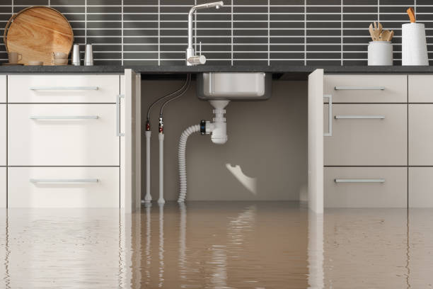 Best Water damage restoration near me  in Yelm, WA