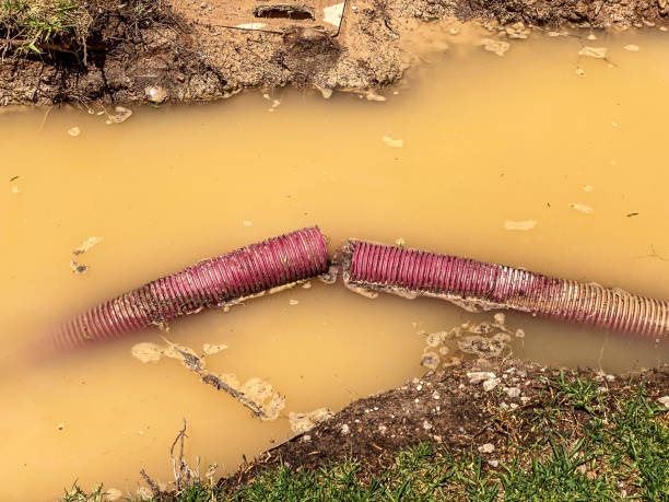 Best Residential water damage restoration  in Yelm, WA