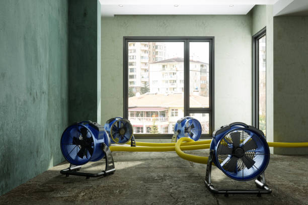 Local water damage restoration in Yelm, WA
